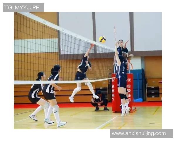 上海排球队在排球状态排行榜中荣登第五名展现强劲实力与潜力