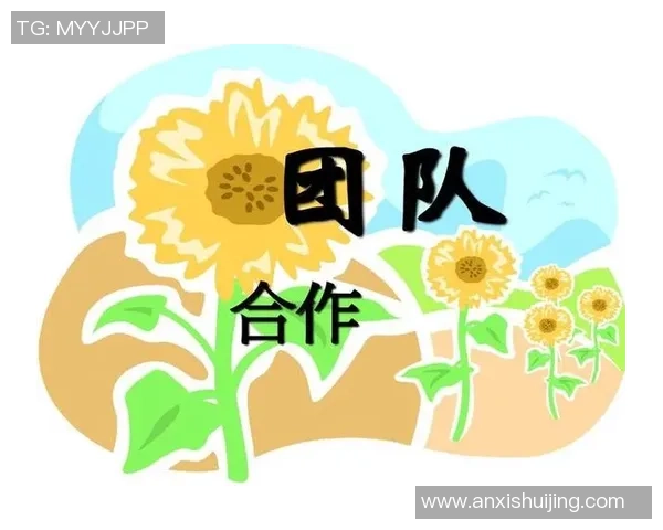 南京排球队的阵地战解析：战术创新与团队协作的完美结合