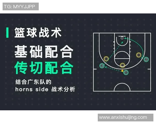 杭州篮球队在城市联赛中的战术表现分析与点评探讨